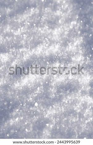 Snow flakes royalty free image. 