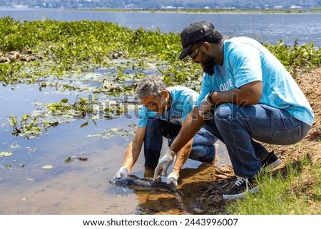 Team of volunteer scientist is catching native breeder fish to get sample and medication for statistic from contamination in global warming and climate change for nature and wildlife conservation Royalty-Free Stock Photo #2443996007