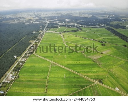 Beautiful aerial view of green paddy field in Bagan Serai, Perak Malaysia