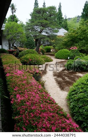 The early summer scene of azaleas beginning to bloom in the garden of Unryuin Temple.