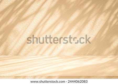 Wall interior background, studio  and backdrops show products.with shadow from window color white and Beige. background for text insertion and presentation product 