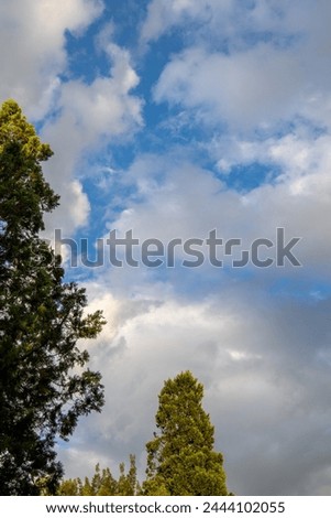 Landscape setting with green trees, white clouds and blue sky image in vertical format for background use Royalty-Free Stock Photo #2444102055