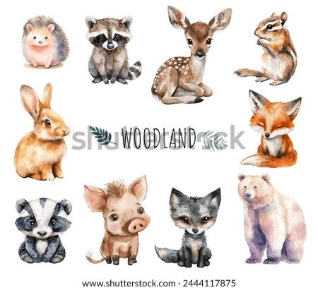 Set of wild watercolor forest animals. Woodland animals. Bear, fox, deer, squirrel, hare, hedgehog.