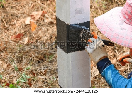 The black-and-white navigation roadside pillars are being repainted to make them more visible. Rural road officials are rushing to paint road pillars during the summer in rural Thailand.