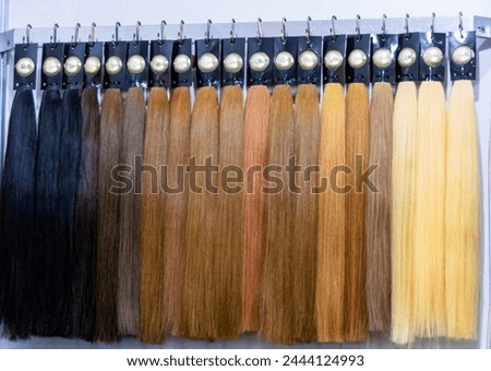 Diverse assortment of hair extensions, wigs, and accessories in various colors and textures for personal grooming and hairstyling at a beauty salon or industry market shop Royalty-Free Stock Photo #2444124993