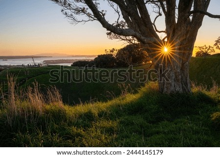 Sunrise over Mt Eden summit with volcanic crater in the foreground. Sun starbursts shining through a huge Pohutukawa tree. Auckland. Royalty-Free Stock Photo #2444145179
