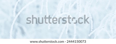 Snow and rime ice on the branches of bushes. Trees covered with hoarfrost. Plants in the park are covered with hoar frost. Cold snowy winter weather. Frosting texture. Wide panoramic light background. Royalty-Free Stock Photo #2444150073