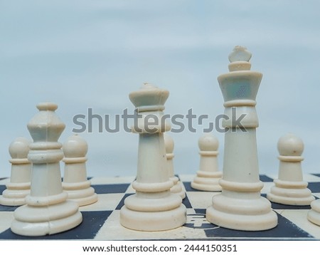 Black and white chess pieces as business competition and leadership concept

