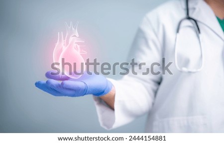 Cardiologist holding heart in hands,Cardiology concept.Health protection, care,medical and treatment concept.