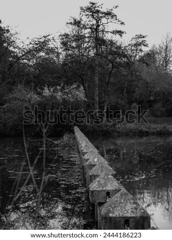 Black and white image of a lake