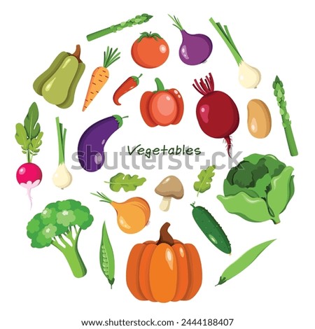 Vector vegetables clip art, big collection of veggies in flat style. Cabbage, broccoli, beetroot, asparagus, radish, onion, pepper, carrot, tomato lettuce, cucumber, eggplant, chili, green peas