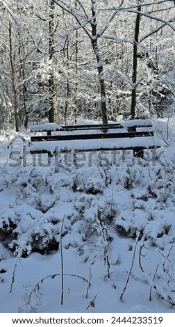 winter bench snow white nature texture cold