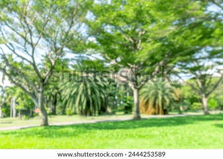 blur park garden with bokeh tree in nature background, blurry green bokeh light outdoor in summer background
