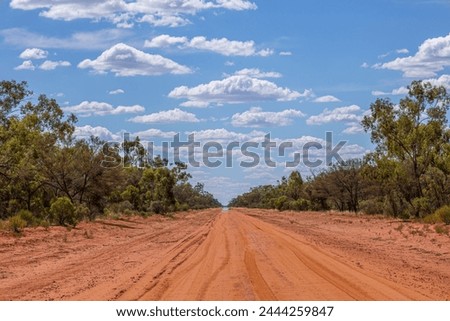 Red dirt road in diminishing perspective flanked by eucalyptus trees below a blue sky with cumulus clouds in outback country in Currawinya National Park in Queensland, Australia. Royalty-Free Stock Photo #2444259847