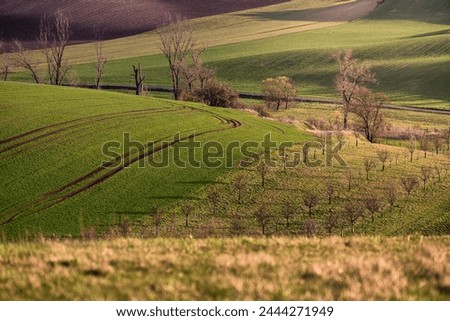 Beautiful landscape of moravian tuscany fields, Czech republic