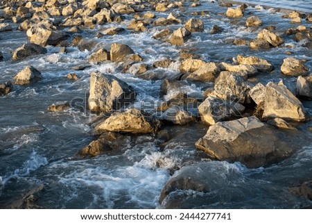 A rocky river with a lot of rocks in it. The water is moving and the rocks are scattered throughout the river Royalty-Free Stock Photo #2444277741