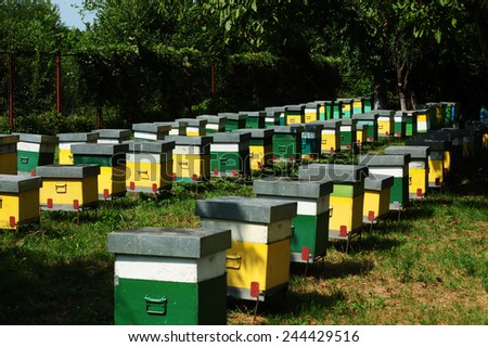 Beehives in a sunny day