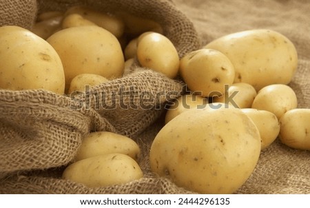Potatoes stock on the Market for sale