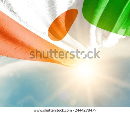 Niger waving flag in beautiful sunlight.