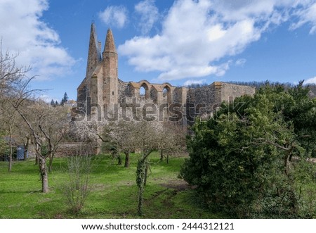 View of the Rosa Coeli Monastery in Dolní Kounice across the garden, spring, flowering trees
