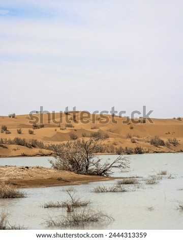 A picture of a tree by the water in a desert area