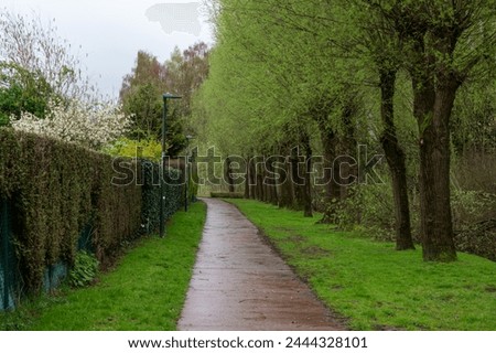 Biking path through the meadows and trees around Wezembeek-Oppem, Belgium Royalty-Free Stock Photo #2444328101
