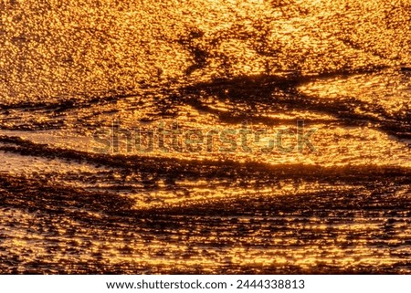 North-eastern European river after frosty winter. Ice began to melt, ice is saturated with meltwater. The morning sun colors ice surface, sunny path, iridescent reflection of sun on surface of ice Royalty-Free Stock Photo #2444338813