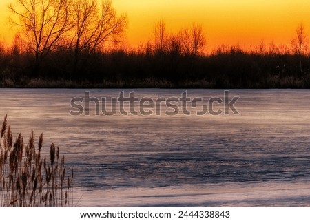 The north-eastern European river after a frosty winter. The ice began to melt, young shore ice, the state of the ice a week before the ice break (ice-boom). Aurora, sunrise colors on a spring morning Royalty-Free Stock Photo #2444338843