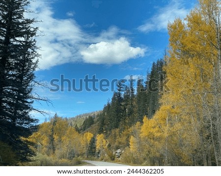 High Road to Taos Scenic Byway in New Mexico near Apache Canyon. Beautiful autumn colors, rugged terrain of the Sangre de Cristo Mountains, Carson National Forest. New Mexico highway 518. Royalty-Free Stock Photo #2444362205