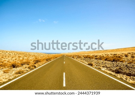 Photo Picture of a Beautiful Asphalt Lonely Road Royalty-Free Stock Photo #2444371939