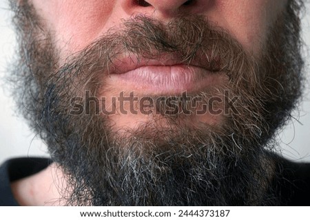 Men's beard. The guy's face is large. Brutal macho. Mustache and beard. Barber. Lumberjack. Portrait of a handsome man with a beard                                Royalty-Free Stock Photo #2444373187