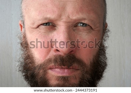 Men's beard. The guy's face is large. Brutal macho. Mustache and beard. Barber. Lumberjack. Portrait of a handsome man with a beard                                Royalty-Free Stock Photo #2444373191