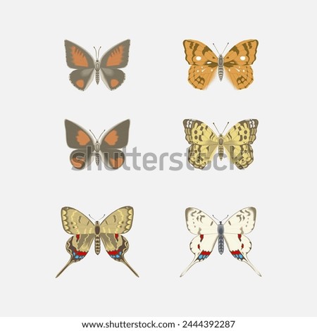 Set of Beautiful Wildlife Butterfly  Illustrations