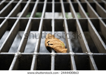 A lone dried leaf caught in a stark metal grate, symbolizing constraint and the clash between nature and urban environments. Royalty-Free Stock Photo #2444400863