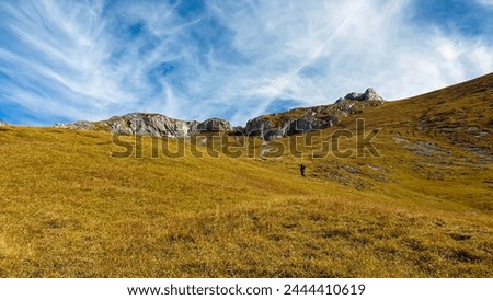 Hiker man on golden alpine meadow with scenic view of Hochschwab mountain range, Styria, Austria. Hiking trail in alpine terrain. Remote Austrian Alps in summer. Escapism. Connect with nature Royalty-Free Stock Photo #2444410619