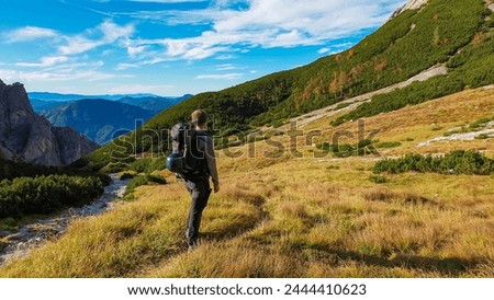 Hiker man on golden alpine meadow with scenic view of Hochschwab mountain range, Styria, Austria. Hiking trail in alpine terrain. Remote Austrian Alps in summer. Escapism. Connect with nature Royalty-Free Stock Photo #2444410623