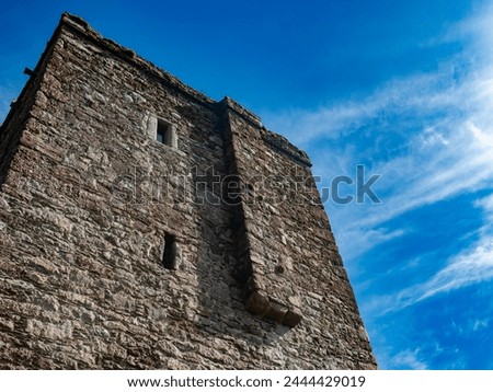 Artramon Castle - a 4 story 13th century towerhouse overlooking the River Slaney in County Wexford.  Royalty-Free Stock Photo #2444429019