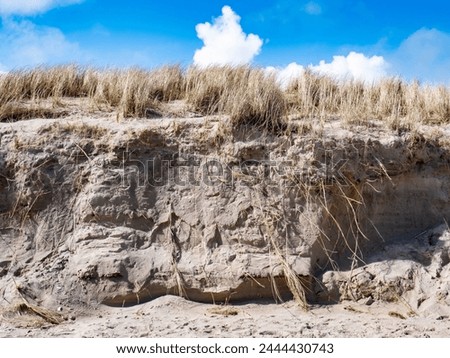 Sand dune at Curracloe Beach with grass and blue sky Royalty-Free Stock Photo #2444430743