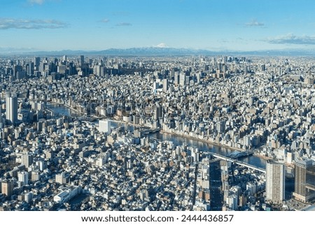 Aerial view of the Tokyo Skyline, Japan