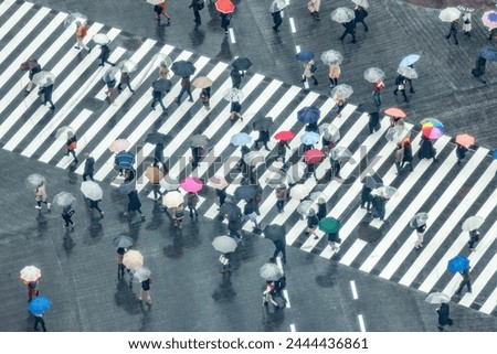People at Shibuya Crossing on a rainy day, Tokyo, Japan Royalty-Free Stock Photo #2444436861
