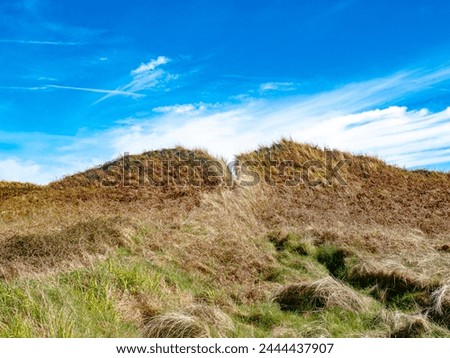 Sand dune with a narrow gap at Curracloe Beach, Co. Wexford, Ireland.  Royalty-Free Stock Photo #2444437907