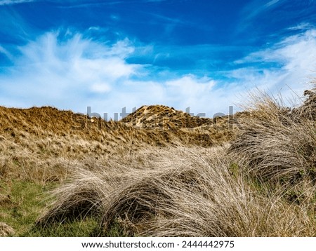 Sand dunes at Curracloe Beach, Wexford, Ireland.  Royalty-Free Stock Photo #2444442975