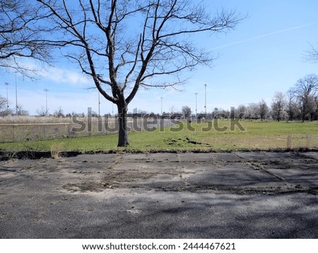 Old Run Down Overgrown Parking Lot Fort Monmouth NJ Royalty-Free Stock Photo #2444467621