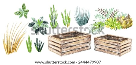 drawing with colored pencils garden boxes for seedlings, seedlings, young plants, aromatic herbs, set