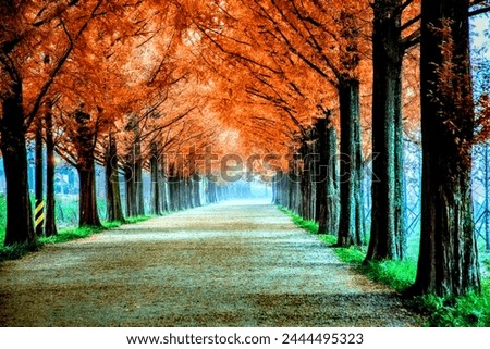 A beautiful scene of nature , peaceful and calm sight . Trees in straight line.