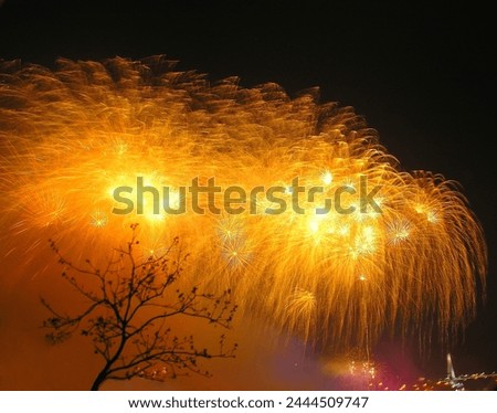           
Photo taken with fireworks at night