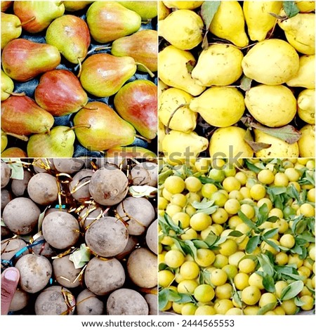 Mixed Winter Tropical Fresh Fruits Stock Lemons, Sapodilla and Pears Fruit