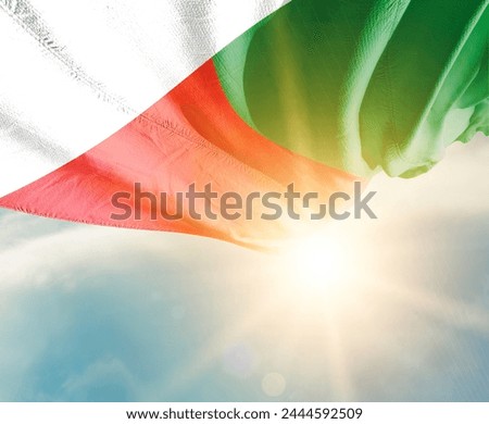 Madagascar waving flag in beautiful sunlight.