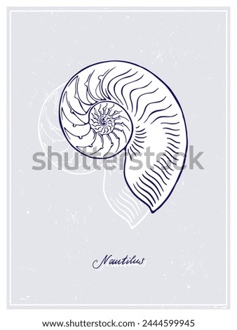 Big white Nautilus. Seashell. Vintage style poster. Hand drawn graphic design collection. Vector illustration.
