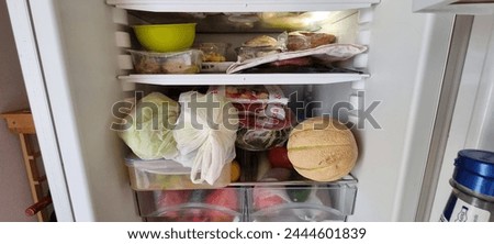 Well-organized and fully-stocked home refrigerator interior with a variety of fruits, vegetables, and frozen foods for healthy eating, meal preparation, and food organization in the kitchen